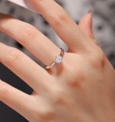 -钻石小鸟钻戒婚戒定制(石路店)