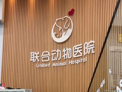 -联合动物医院(光谷诊疗中心)