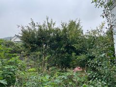 -苏州冶园园林民宿(太湖西山风景区店)