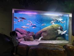 -蓬莱欧乐堡海洋极地世界