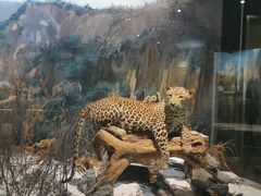 -陕西自然博物馆