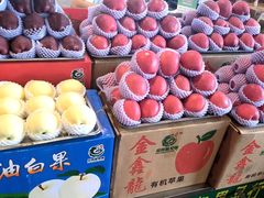 -海吉星市场