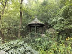 -狼山风景名胜区