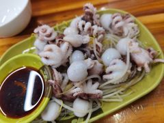 芥末白灼八爪鱼-贞姨美食·老字号海鲜大排档