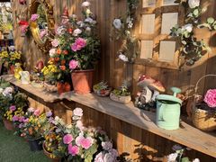 -HERRE·FARM 赫尔露营农场·团建聚会包场