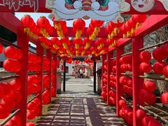 -同里国家湿地公园