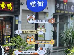 -宝旺姜母鸭(顶澳仔猫街店)
