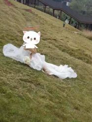 -金夫人婚纱摄影(总店)