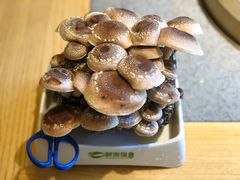 松香菇-鲜货俚鲜火锅(青果路店)