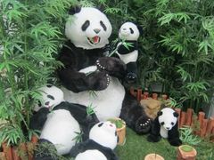 -济州岛泰迪熊博物馆