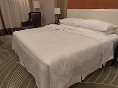 -常州武进九洲喜来登酒店