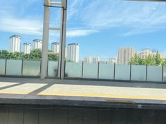 -保定市动物园