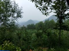 -灵山莲花公园-温泉度假区