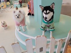 -怪兽屋·羊驼·猫咖·狗咖(俊华广场店)