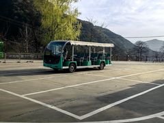 -王顺山国家森林公园