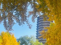 -玲珑塔公园