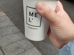 -墨本概念MELCONCEPT