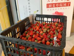 -树夏(鹭洲里店)