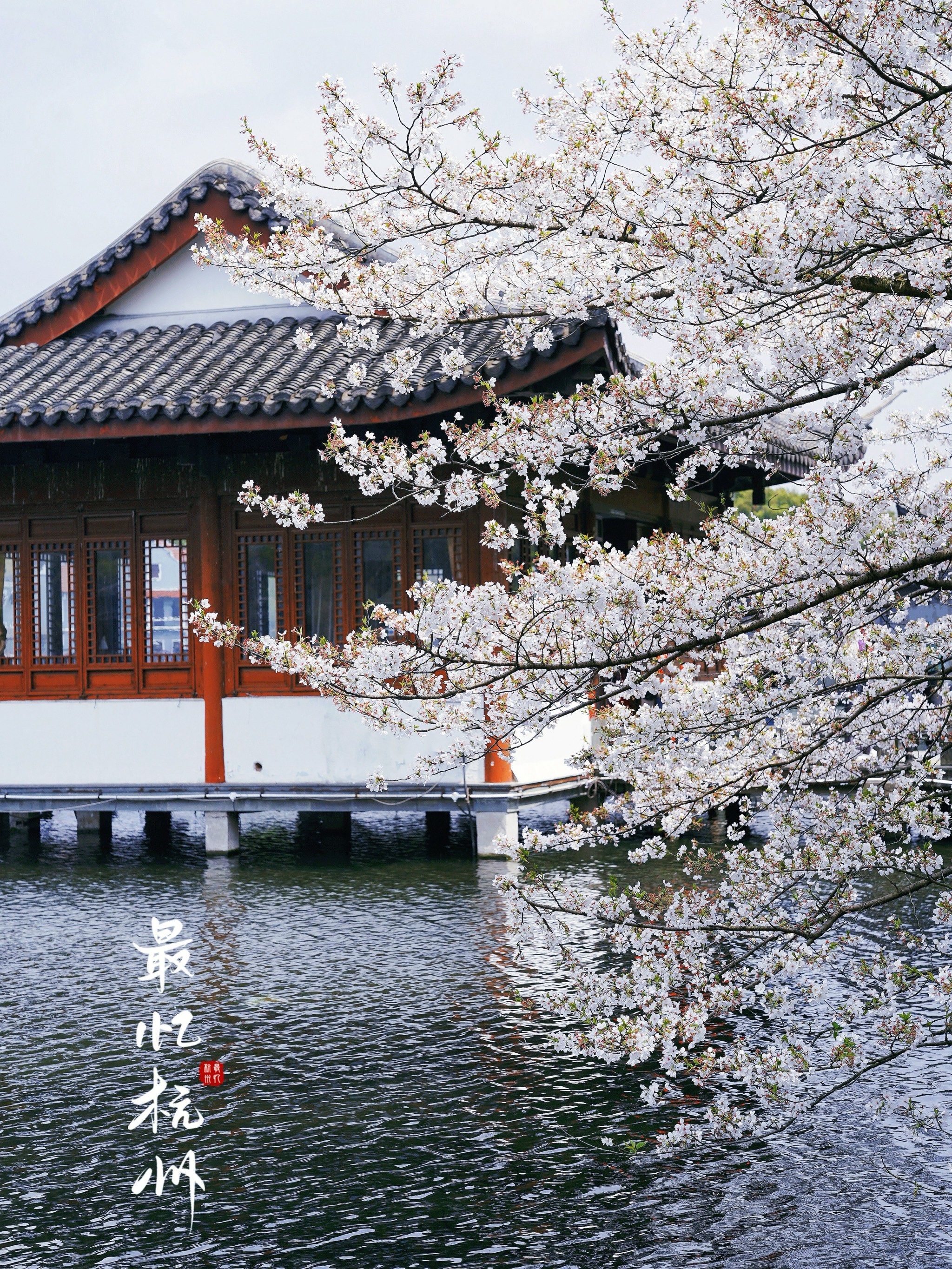 城市记忆|江南的春天,繁花似锦