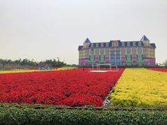 -百万葵园