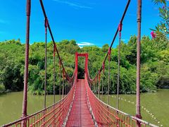 -上海吴淞炮台湾国家湿地公园