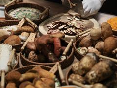 -蘑界·野生菌火锅(深业上城店)