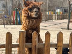 -水上乐园·欢乐世界