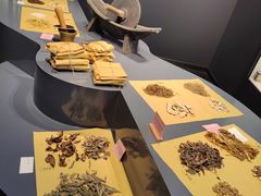 -广东中医药博物馆