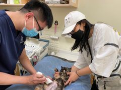 -美联众合动物医院·24h京西诊疗中心