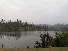 -枫香湖儿童公园