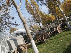 -九十九顶毡房(阜石路店)