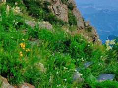 -白草畔自然风景区