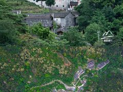 -雁南飞茶田景区