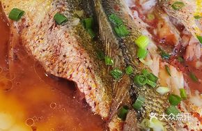 Sour Cucumber Fish