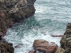 -鹿嘴山庄