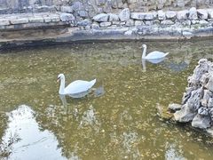 -森林公园(尖草坪区)