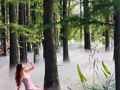 -东湖落雁景区