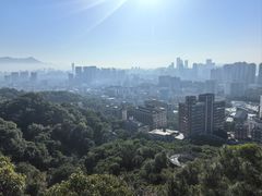 -福道