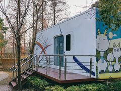 -上海海湾国家森林公园