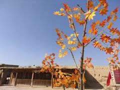 -镇北堡西部影城