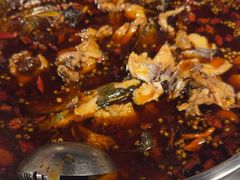 -味之绝热血美蛙鱼火锅(中坝店)