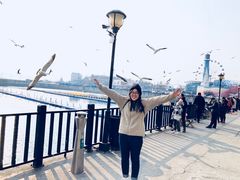 -大连圣亚海洋世界