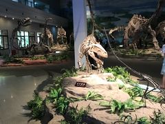 -自贡恐龙博物馆