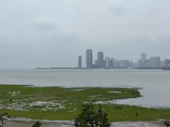 -万绿园