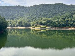 -桃花岭景区
