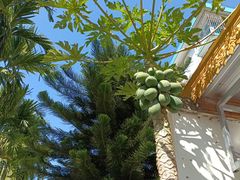 -西双版纳总佛寺
