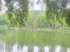 -重庆彩云湖湿地公园