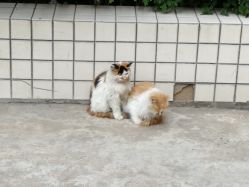 -HG美发设计沙龙