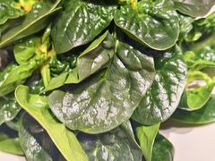 -海底捞火锅(金桥太茂商业广场店)