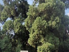 -四门塔风景区